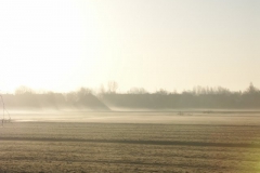 2007 3 8-3 ochtendmist (3)