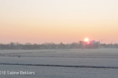 2008 12 30-12  zonsopgang (10)