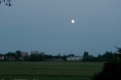 2008 5 18-5 Maan Wilmkebreek (2)