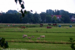 2008 7 8-7 Wilmkebreek (1)