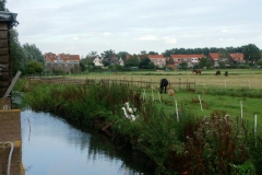 2008 8 4-8 Wilmkebreek wandeling (5)