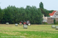 2009 8 5-8 Boer aan het werk (4)