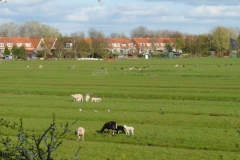 2010 4 21-4 Wilmkebreek
