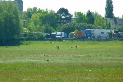2010 5 22-5 onrust (7)