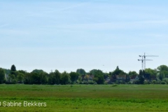 2010 5 22-5 onrust (9)
