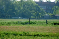 2010 5 25-5 grutto (2)