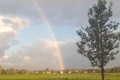 Pieter-Divendal-20210207-regenboog
