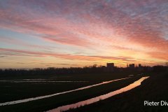 Pieter-Divendal-20210207_schemer-LR