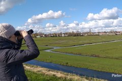 Pieter-Divendal-210411-bird-watching