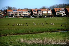 Rasmus-Bechster-groep-01-LR