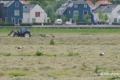 Harald-maaien-02-LR