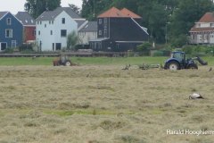 Harald-maaien-05-LR