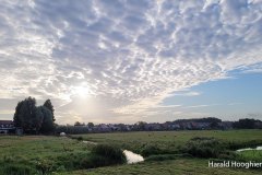 Harald-ochtendgloren-02-LR