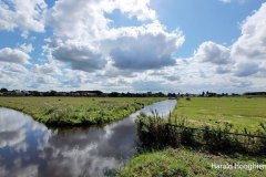 Harald-zomer21-polder-2-LR