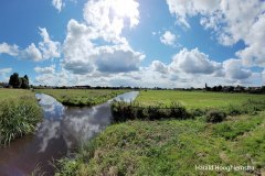 Harald-zomer21-polder-3-LR