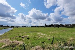 Harald-zomer21-polder-LR