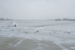 Matthijs-Verhiel-02-2021-03LR