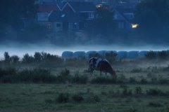 Matthijs-de-Bruijn-dampende-warme-zomeravond