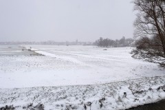Wilmkebreekpolder-sneeuwpolder-met-bomen
