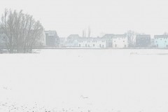 Wilmkebreekpolder-wit-klein-kadoelen