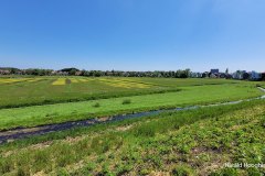 Harald-polder-Dijkstuk
