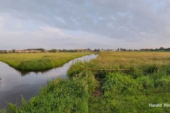 Harald-polder-eind-juni-LR