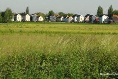 Harald-polder-en-Klein-Kadoelen-LR