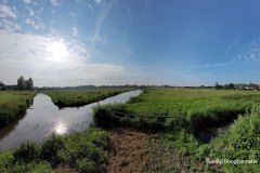 Harald-polder-tegenlicht-LR