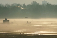 2021-11-3-11-lage-zon-en-schaduwen-6