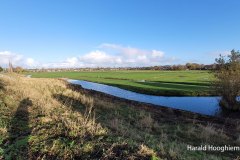 Harald-20211121-01-LR