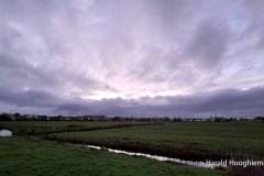 Harald-20211123-01-LR