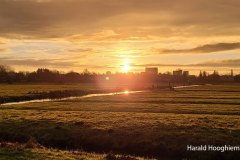 Harald-20211128-01-LR