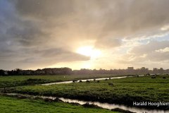 Harald-20211022_091157-LR