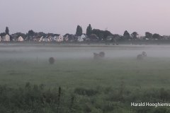 Harald-okt11-LR