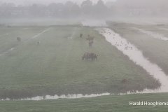 Harald-okt3-LR