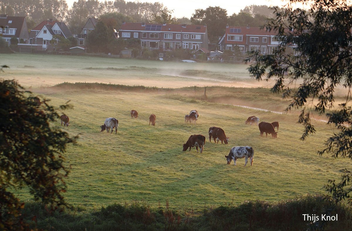 Thijs-Knol-polder-herfst