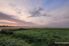 Harald-20210918-LR