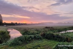 Harald-20210918-LR10