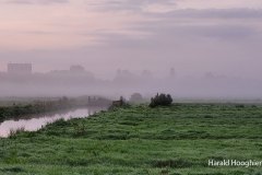 Harald-20210918-LR11