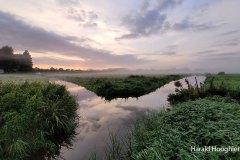Harald-20210918-LR12