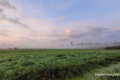 Harald-20210918-LR13