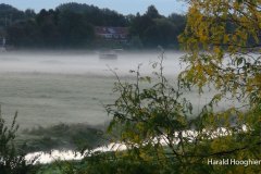 Harald-20210918-LR2