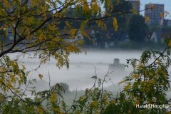 Harald-20210918-LR3