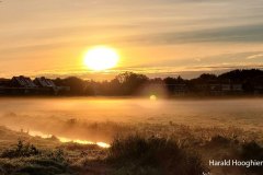Harald-20210918-LR5