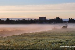 Harald-20210918-LR6