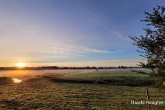 Harald-20210918-LR7