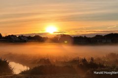 Harald-20210918-LR8