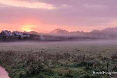 Harald-20210918-LR9